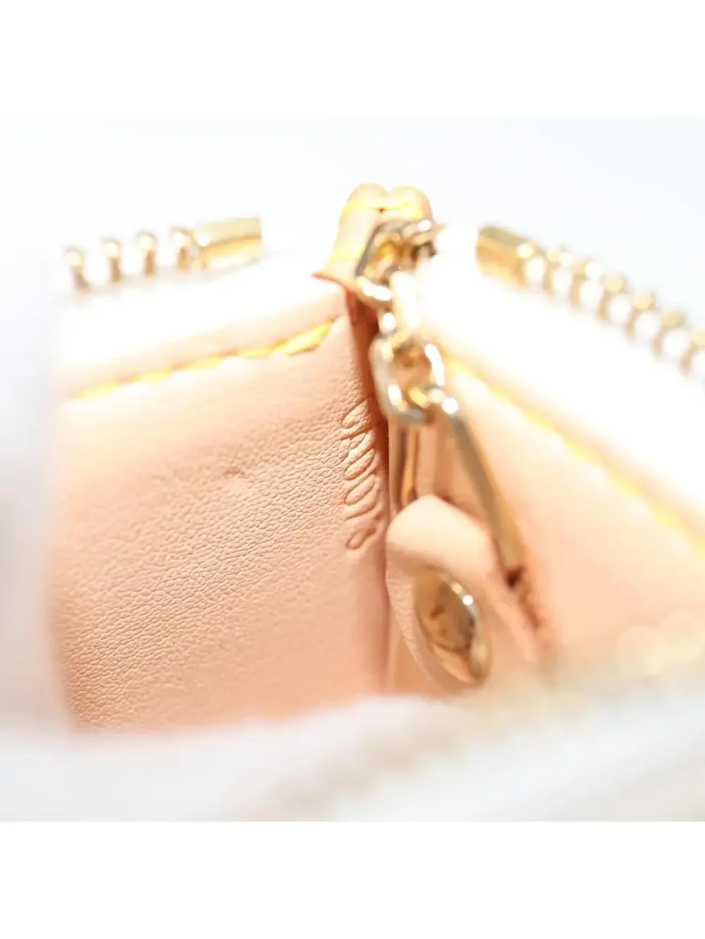 Louis Vuitton Multicolor Pochette Cles #344174L75B